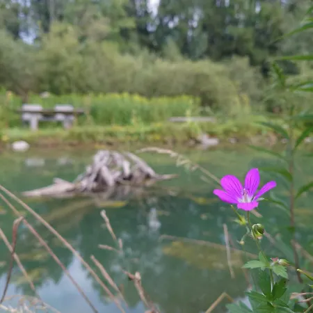 Apartamento Samspitze *