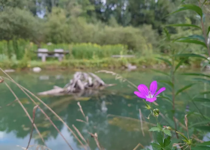 Lägenhet Samspitze *